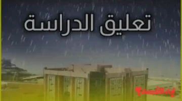 توضيح الوزارة.. تعليق الدراسة الحضورية 11 ديسمبر 2025 بسبب الأحوال الجوية الطارئة